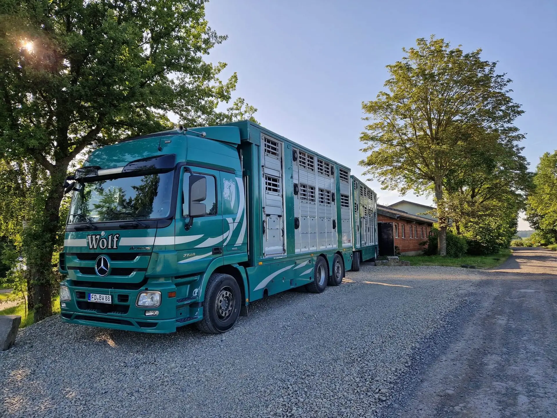 Grüner Tiertransport-LKW mit Anhänger der Viehhandlung Wolf im Abendlicht auf dem Hof