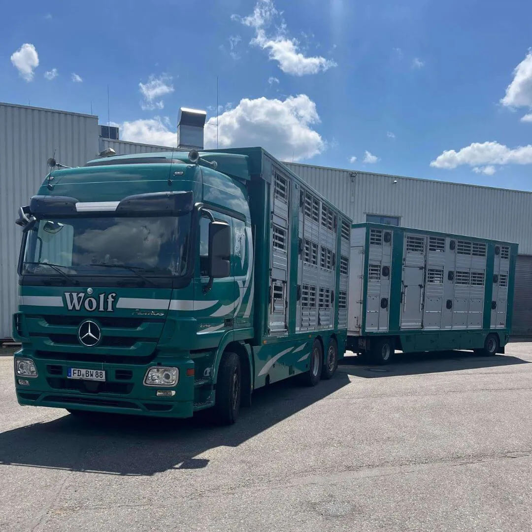 Großer grüner LKW mit Anhänger der Viehhandlung Wolf