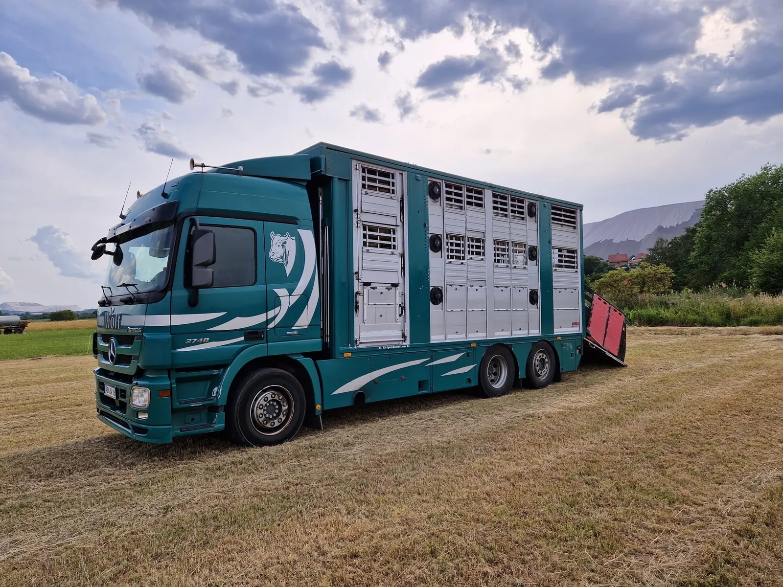 LKW der Viehhandlung Wolf auf einer Wiese unter dramatischem Himmel